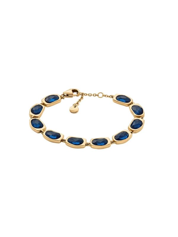 SKAGEN narukvica SKJ1888710